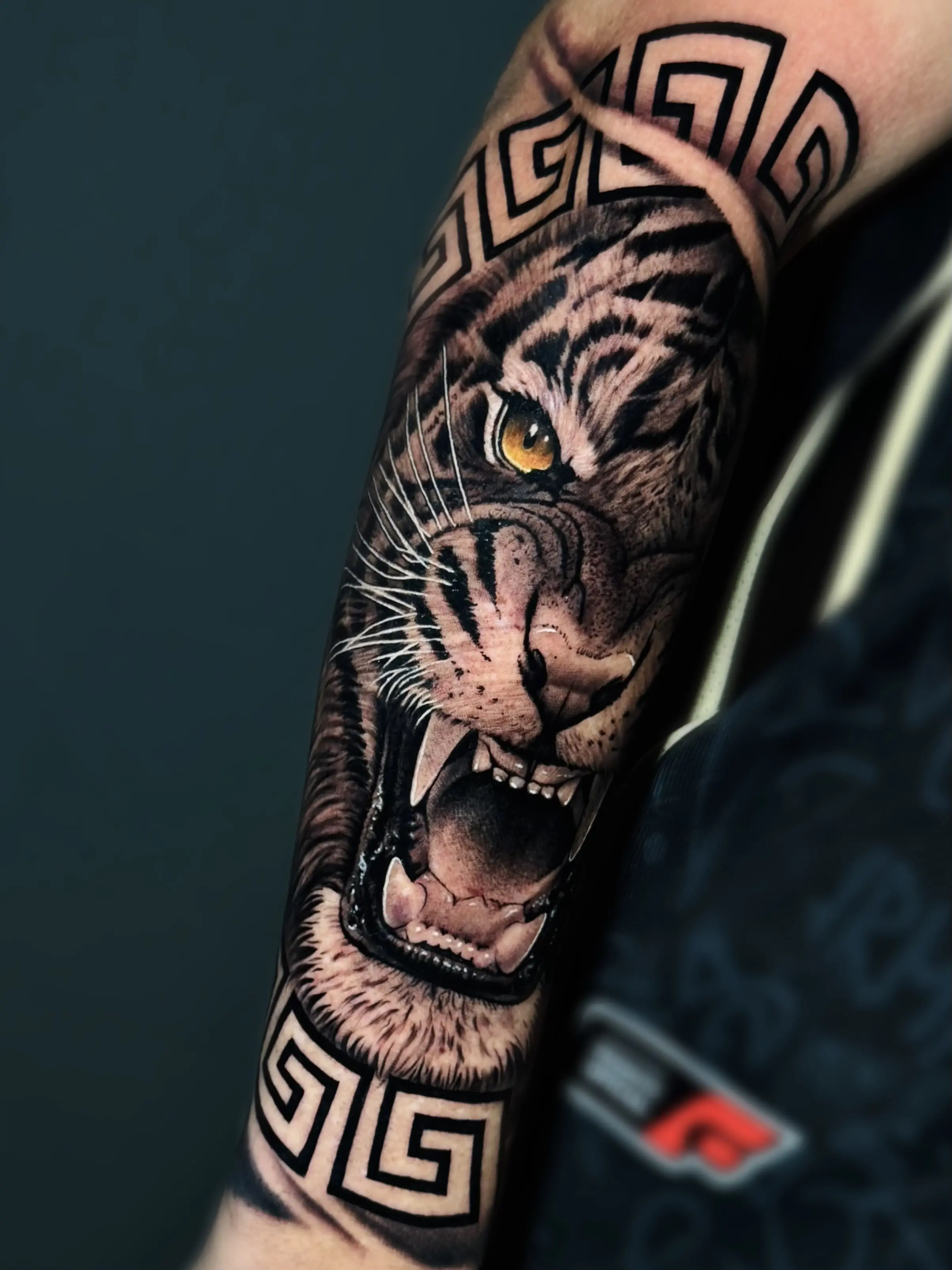 Tigre 